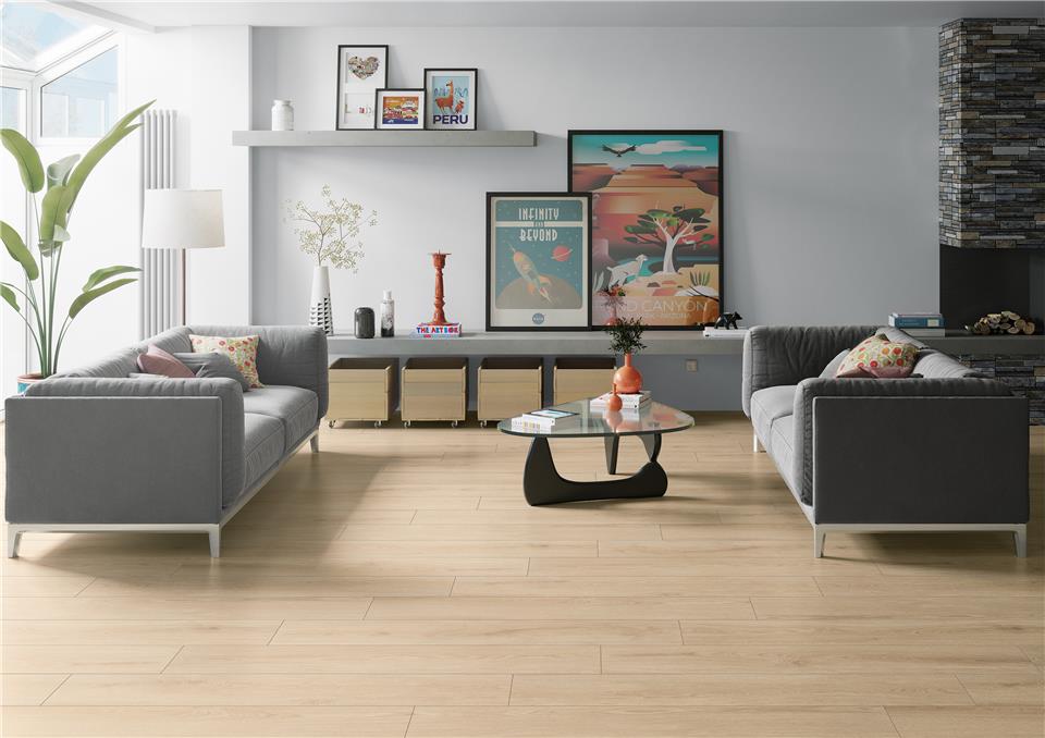 RIPLEY - 30x150 - Lisse